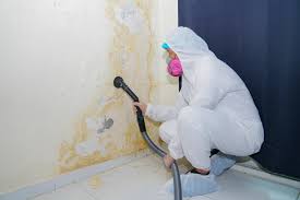 Why You Should Choose Our Mold Remediation Services in Hasson Heights, PA